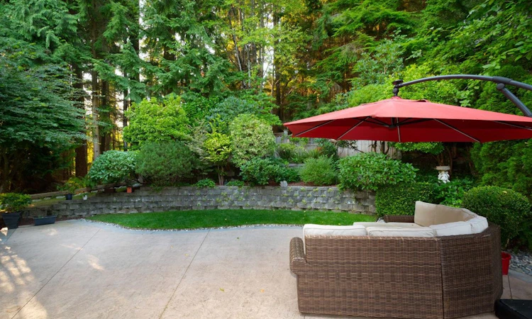 51 Wilkes Creek Drive