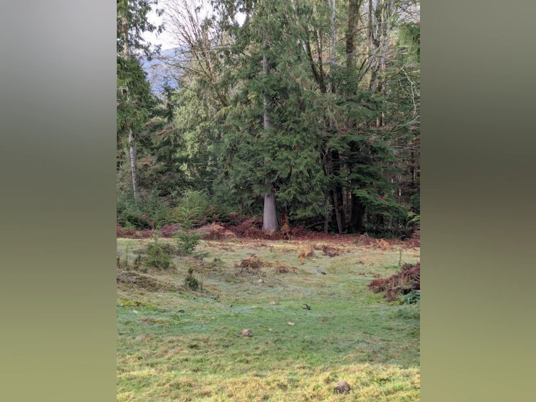 Lot 9 Mountain Road, Gambier Island, BC, V0N 1V0 - 9