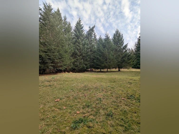 Lot 9 Mountain Road, Gambier Island, BC, V0N 1V0 - 15