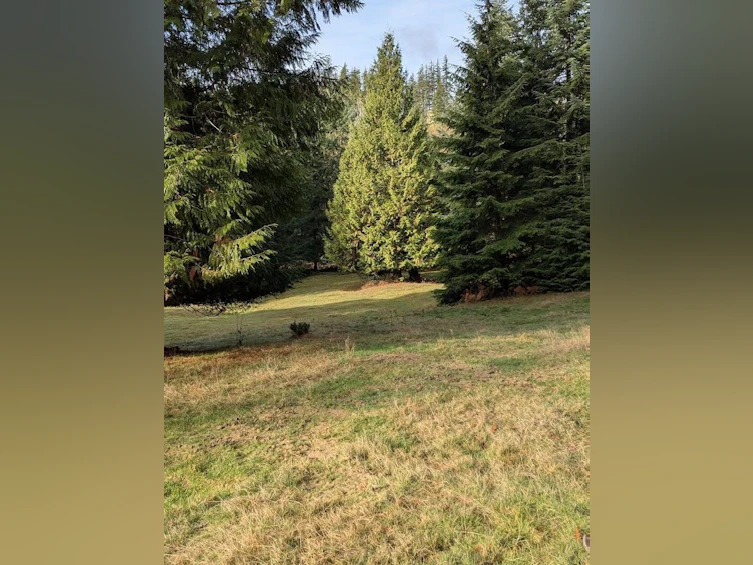 Lot 9 Mountain Road, Gambier Island, BC, V0N 1V0 - 12