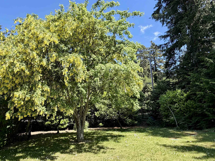 2659 Schooner Way, Pender Island, BC, V0N 2M2 - 36