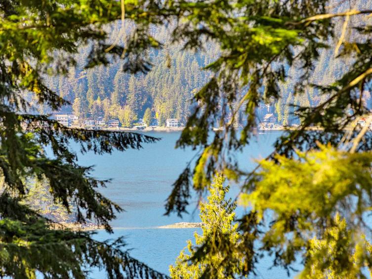3535 Main Avenue, Port Moody, BC, V3H 4R2 - 15