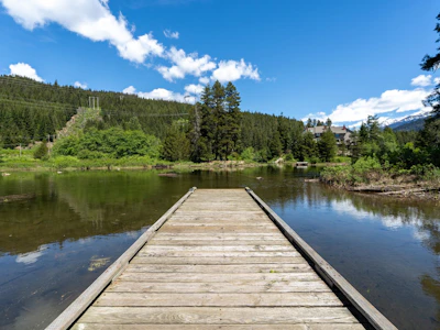 H203-1400 Alta Lake Road - 3