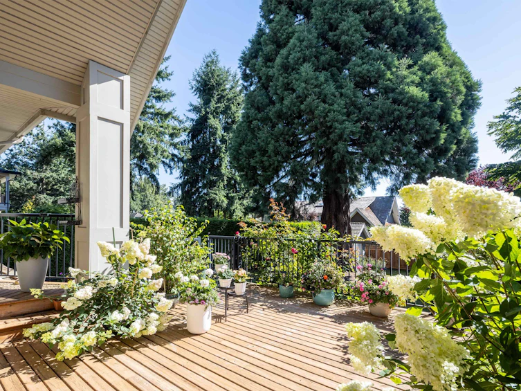3788 156 Street, Surrey, BC, V3Z 0H6 - 25