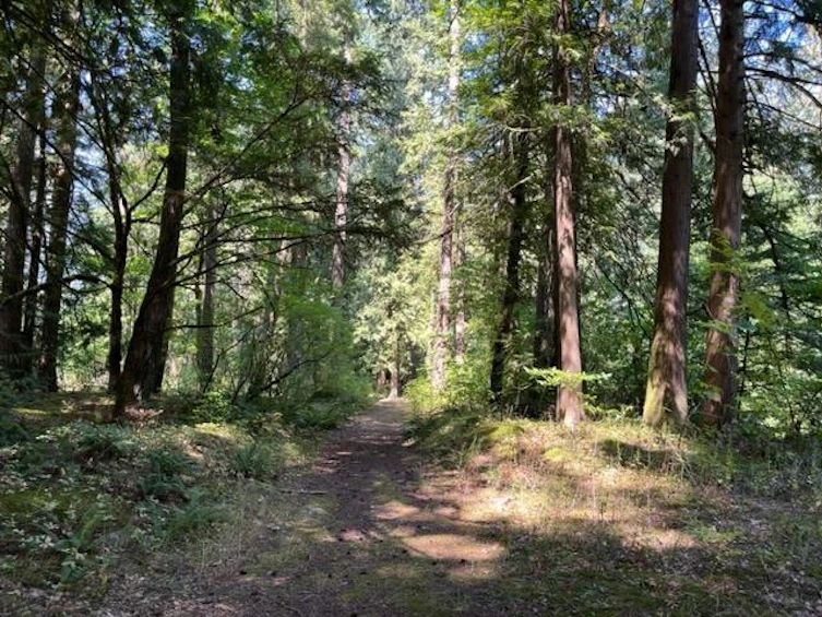 19-19743 Foster Road, Hope, BC, V0X 1L2 - 14