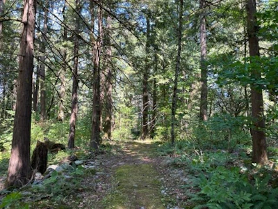 19-19743 Foster Road - 5