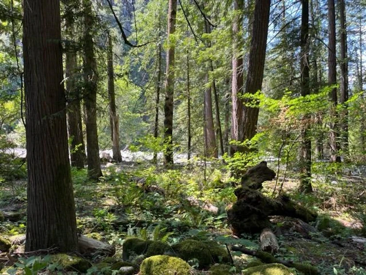 19-19743 Foster Road, Hope, BC, V0X 1L2 - 11