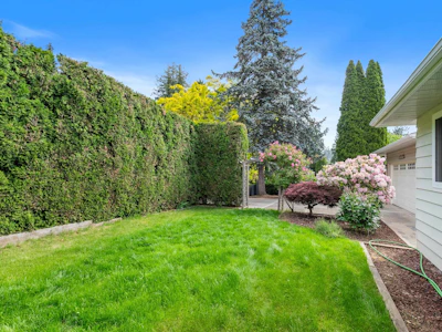 35382 Rockwell Drive - 5