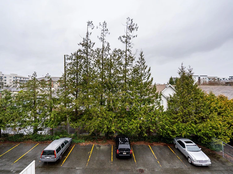 307-5499 203 Street, Langley, BC, V3A 1W1 - 23