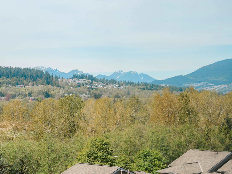 1119 Clerihue Road, Port Coquitlam, BC, V3C 6H2 - 34