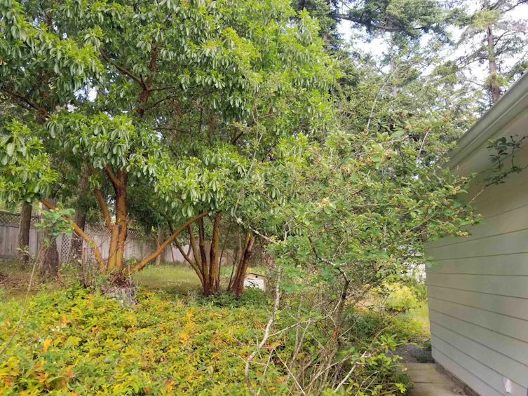 90 Gulf Drive, Galiano Island, BC, V0N 1P0 - 27