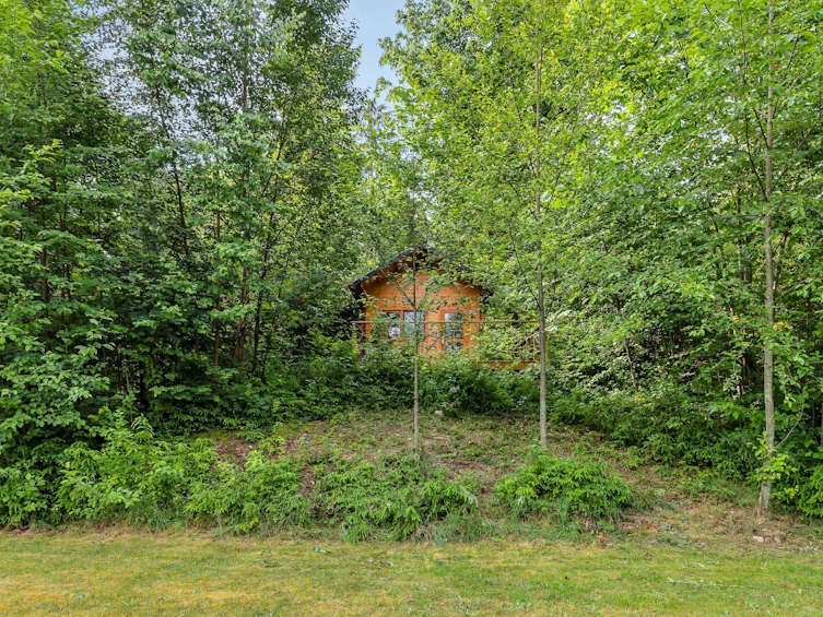 33506 Ihles Avenue, Mission, BC, V2V 6Y1 - 22