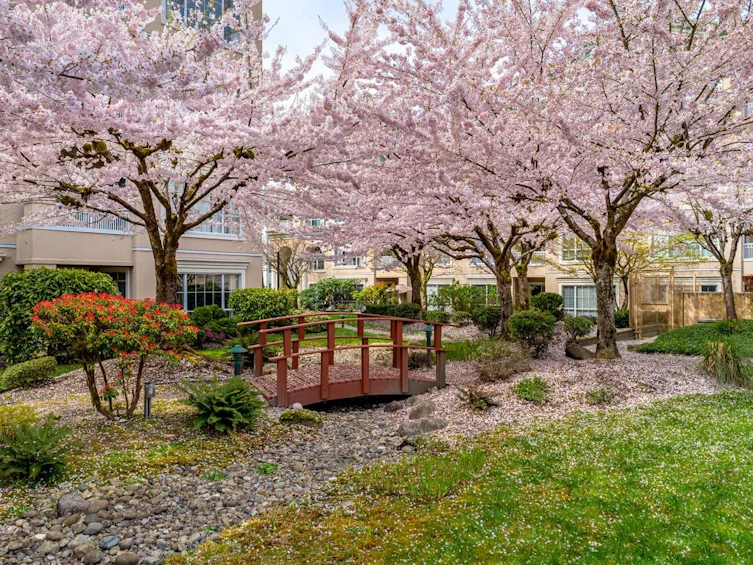 219-2985 Princess Crescent, Coquitlam, BC, V3B 7P3 - 29