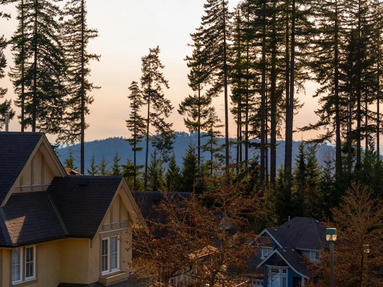 164 Sycamore Drive, Port Moody, BC, V3H 0C5 - 27