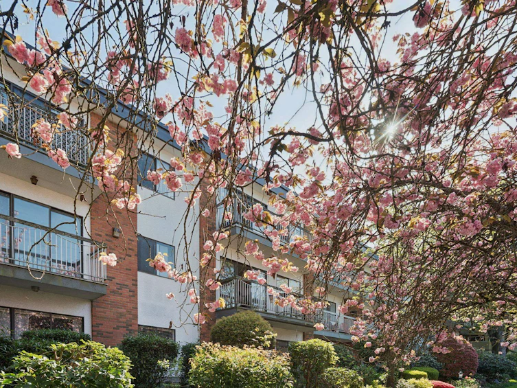 213-1950 W 8th Avenue, Vancouver, BC, V6J 1W3 - 2