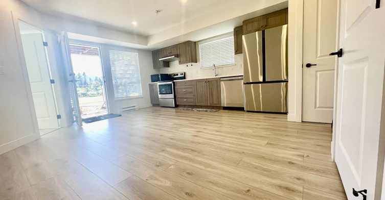 Basement-1100x Harris Drive, Maple Ridge, BC, V2W 1Z8 - 5