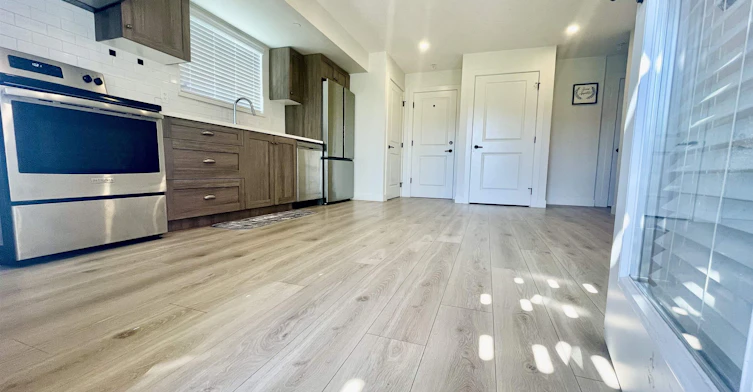 Basement-1100x Harris Drive, Maple Ridge, BC, V2W 1Z8 - 3