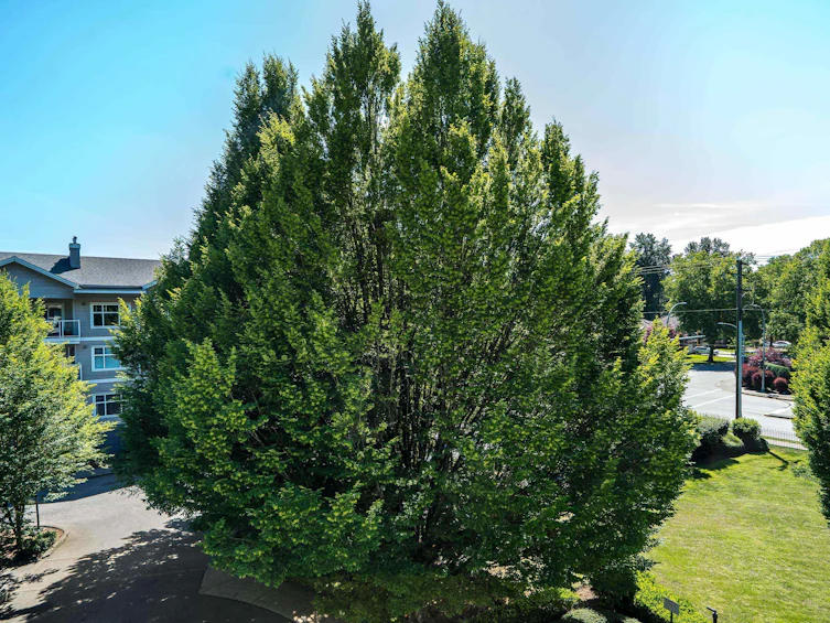 311-9018 208 Street, Langley, BC, V1M 2Y8 - 28
