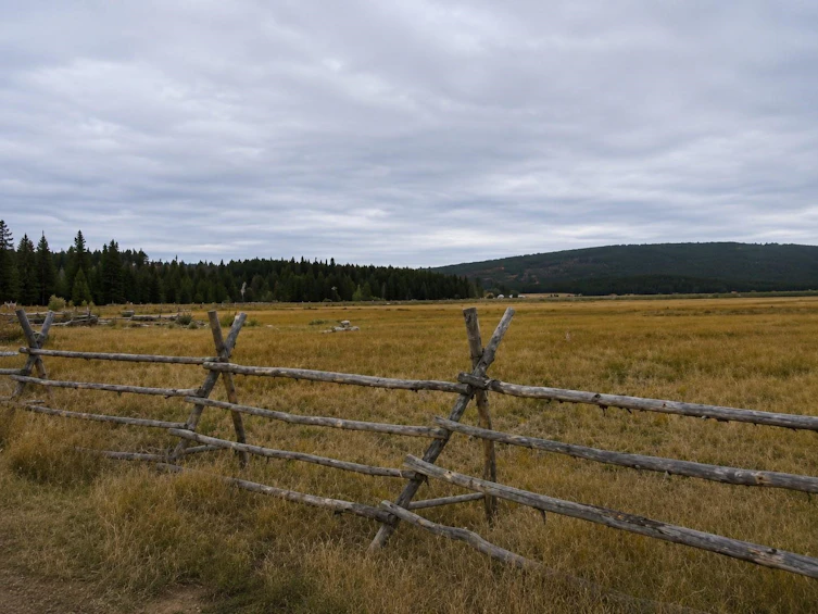 12252 W Maxwell Creek Road, Williams Lake, BC, V0L 1P0 - 5