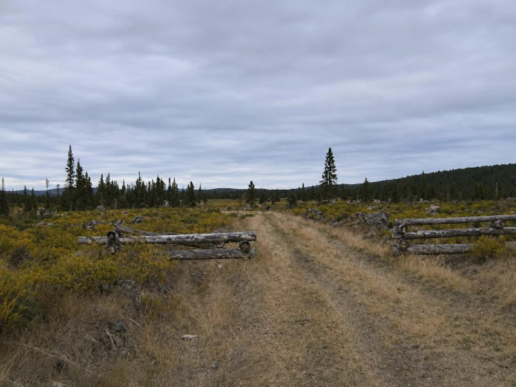 12252 W Maxwell Creek Road, Williams Lake, BC, V0L 1P0