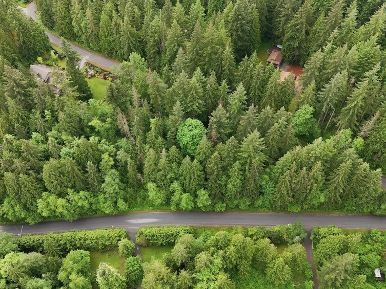 12540 Blue Mountain Crescent, Maple Ridge, BC, V2W 1N7 - 6