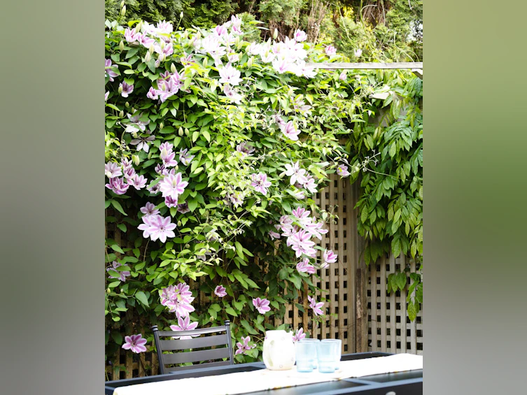3733 Devonshire Drive, Surrey, BC, V3Z 0H8 - 38