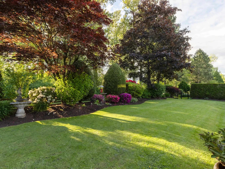 3733 Devonshire Drive, Surrey, BC, V3Z 0H8 - 6