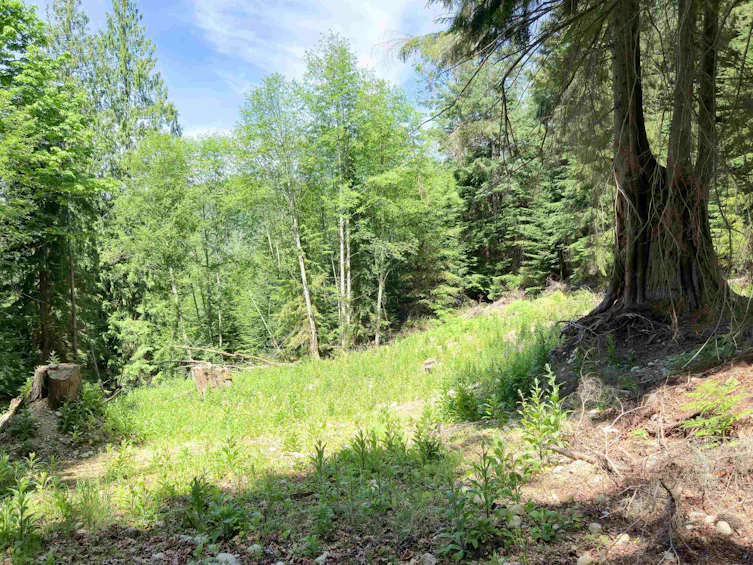 LOT G Cotton Bay Road, Gambier Island, BC, V0N 1V0 - 9