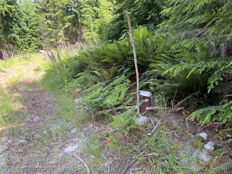 LOT G Cotton Bay Road, Gambier Island, BC, V0N 1V0 - 11