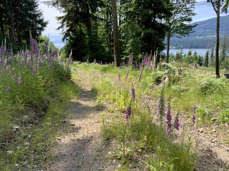 LOT G Cotton Bay Road, Gambier Island, BC, V0N 1V0 - 7