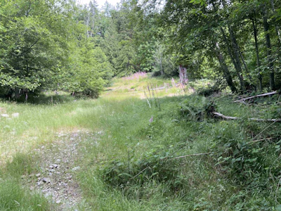 LOT H Cotton Bay Road - 2