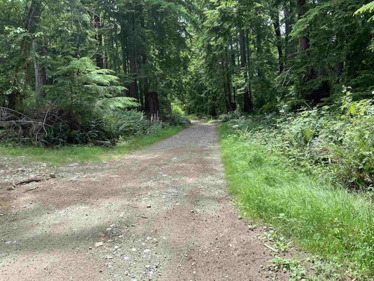 LOT H Cotton Bay Road, Gambier Island, BC, V0N 1V0 - 13