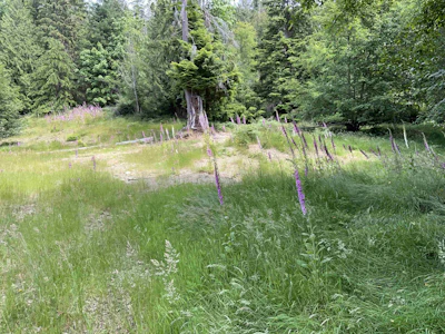 LOT H Cotton Bay Road - 3