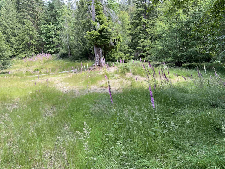 LOT H Cotton Bay Road, Gambier Island, BC, V0N 1V0 - 3