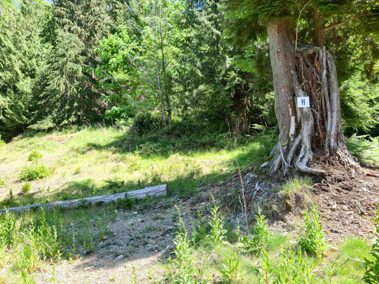 LOT H Cotton Bay Road, Gambier Island, BC, V0N 1V0 - 9