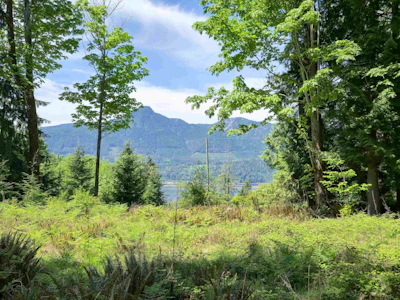 LOT I Cotton Bay Road - 2