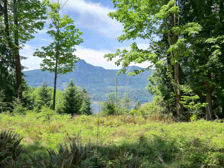 LOT I Cotton Bay Road, Gambier Island, BC, V0N 1V0