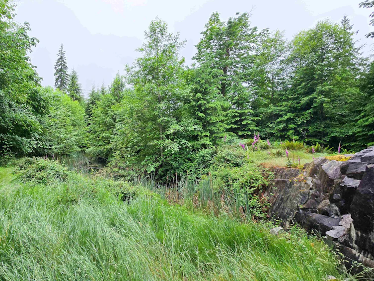 LOT I Cotton Bay Road, Gambier Island, BC, V0N 1V0 - 22