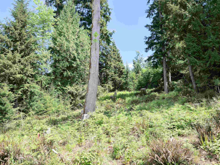 LOT I Cotton Bay Road, Gambier Island, BC, V0N 1V0 - 16