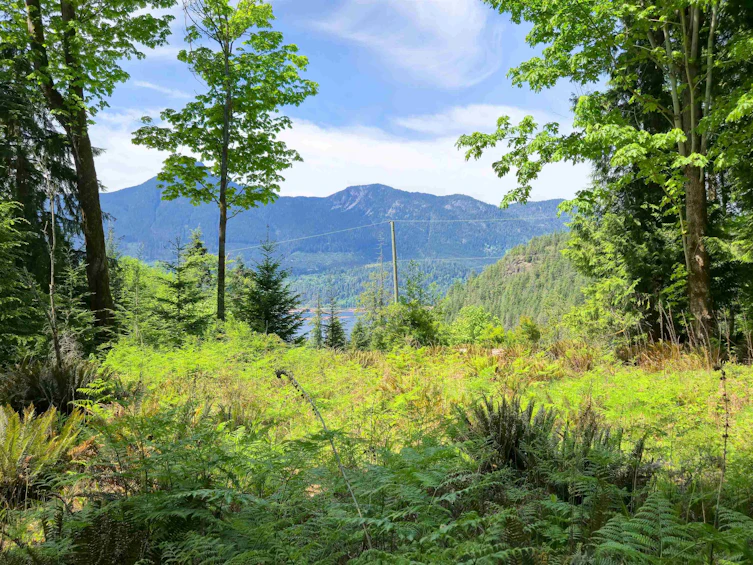 LOT I Cotton Bay Road, Gambier Island, BC, V0N 1V0 - 2
