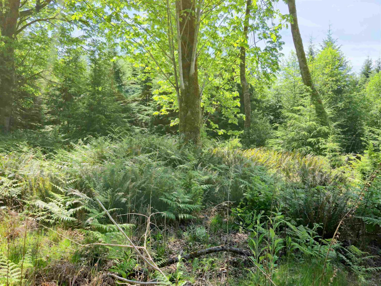LOT I Cotton Bay Road, Gambier Island, BC, V0N 1V0 - 17