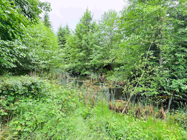 LOT I Cotton Bay Road, Gambier Island, BC, V0N 1V0 - 21