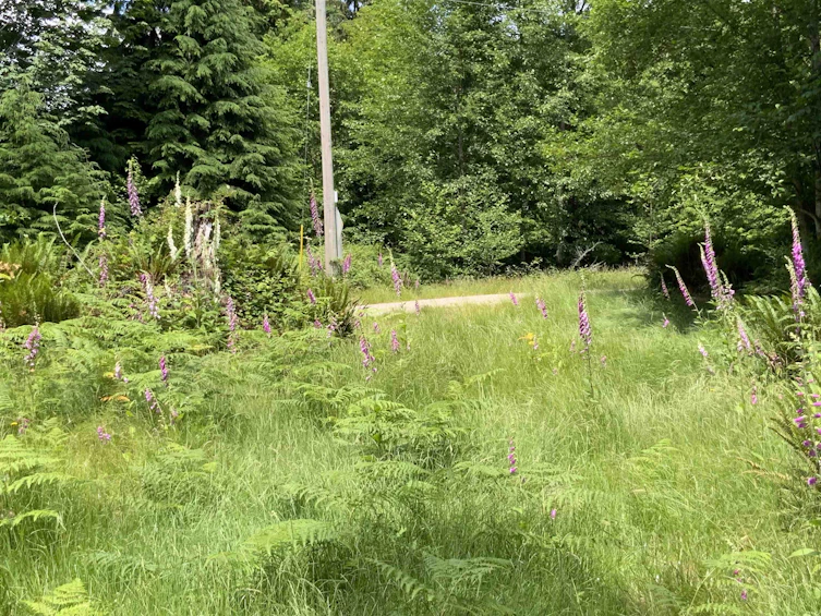 LOT I Cotton Bay Road, Gambier Island, BC, V0N 1V0 - 10