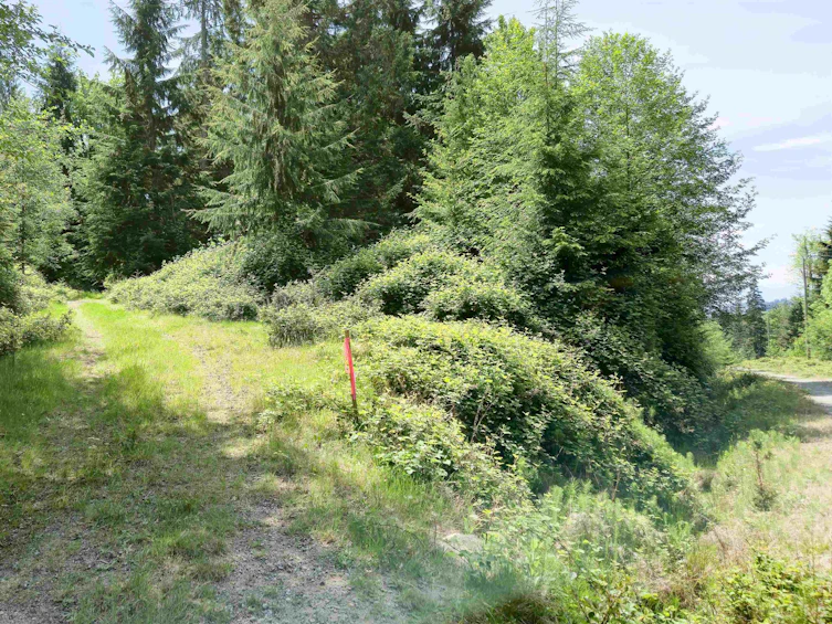 LOT J Cotton Bay Road, Gambier Island, BC, V0N 1V0 - 6