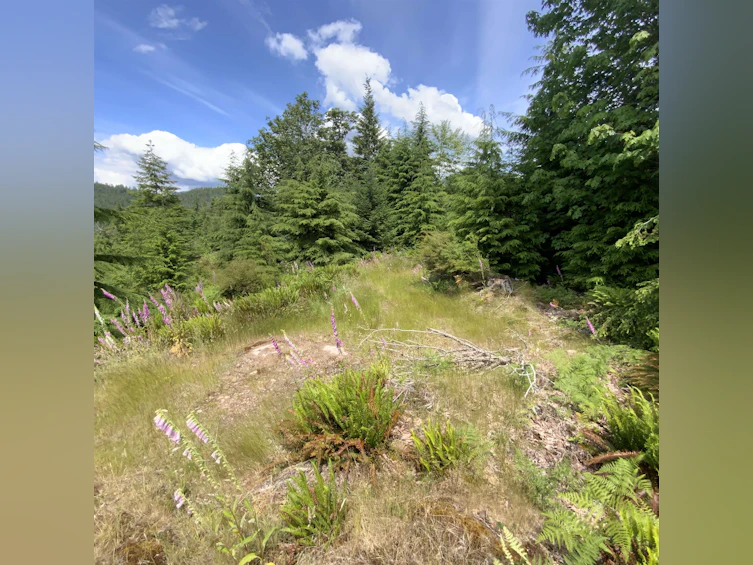 LOT J Cotton Bay Road, Gambier Island, BC, V0N 1V0 - 13