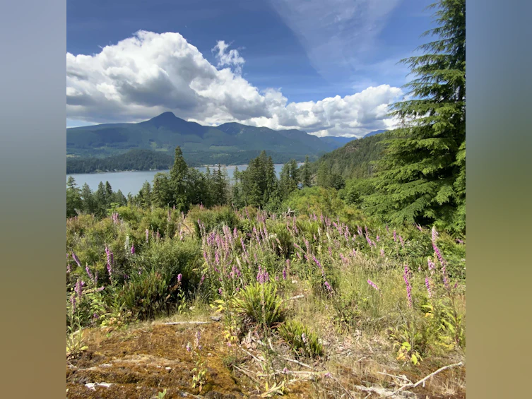 LOT J Cotton Bay Road, Gambier Island, BC, V0N 1V0 - 12