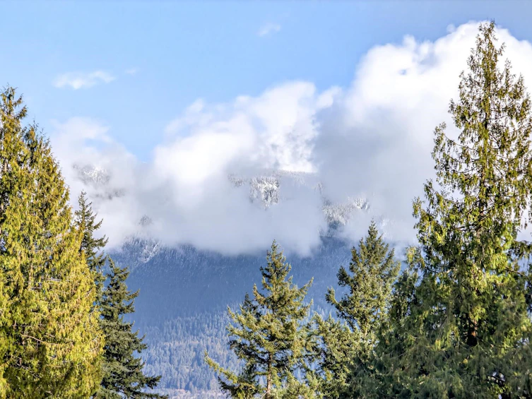 1255 Deer Walk, Bowen Island, BC, V0N 1G1 - 27