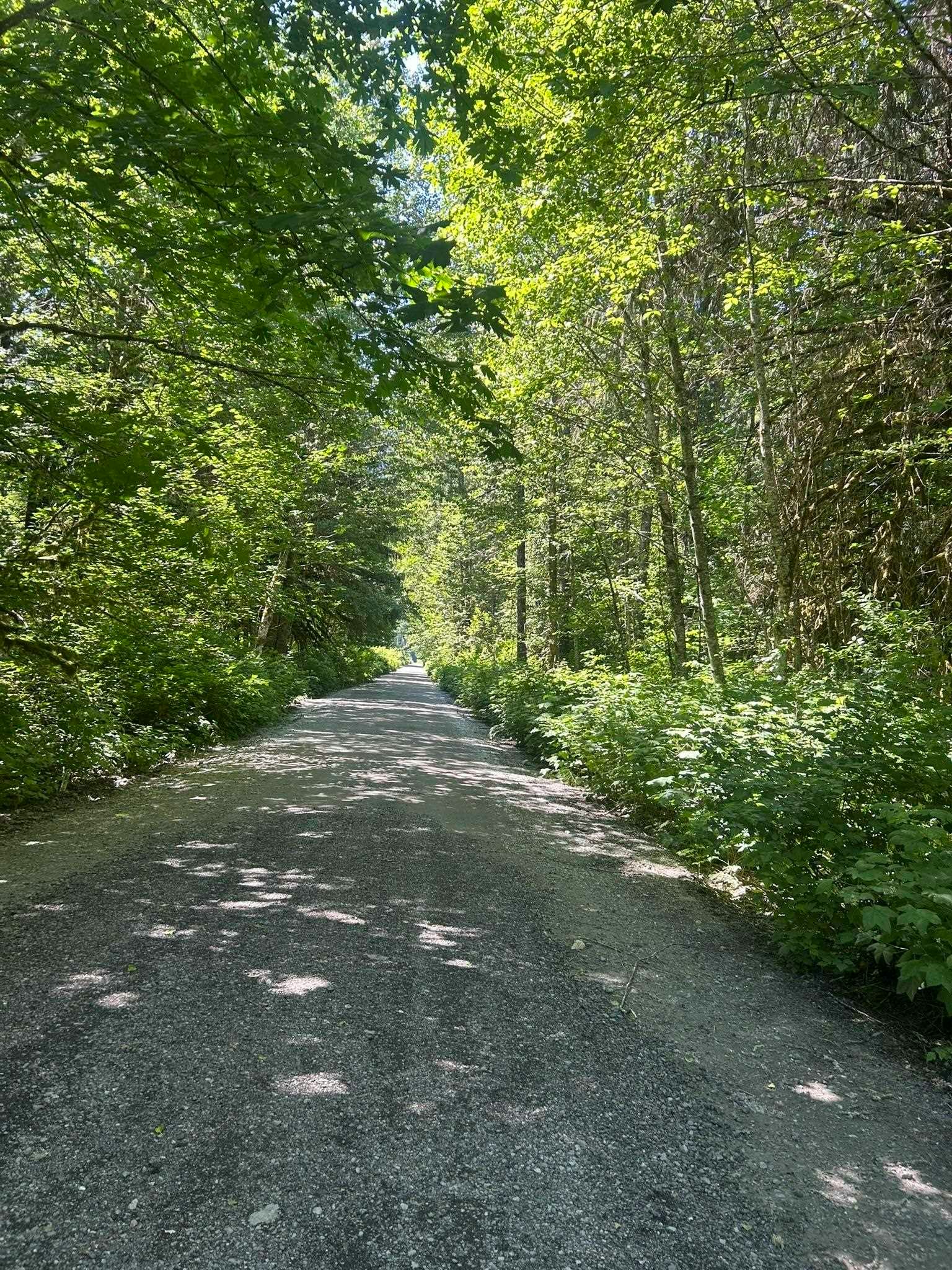 146 Doghaven Lane, Squamish, BC, V8B 0C2 - 7