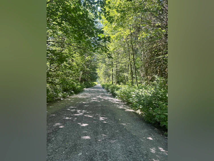 146 Doghaven Lane, Squamish, BC, V8B 0C2 - 7