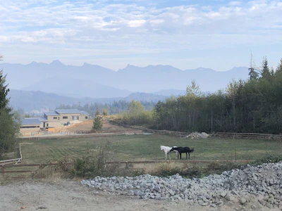 LOT E Panorama Parkway - 2
